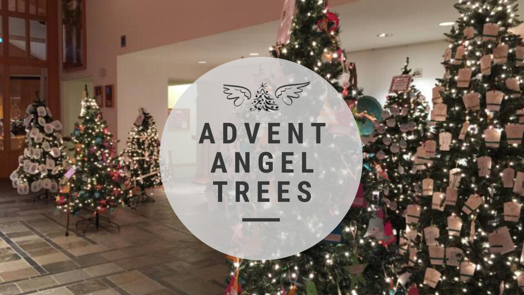 Advent Angel Trees Good Shepherd Catholic Community