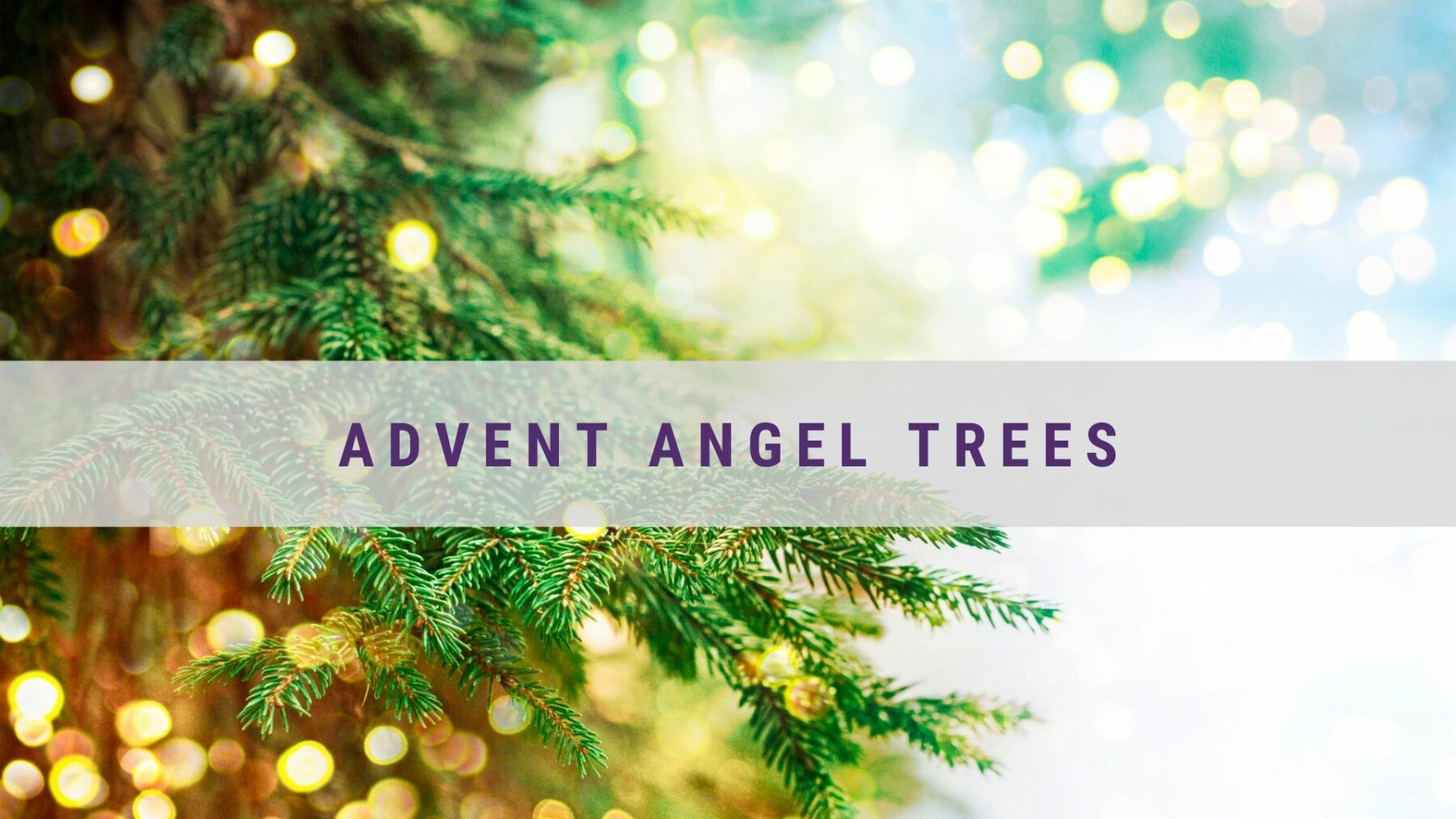 Advent Angel Trees Good Shepherd Catholic Community