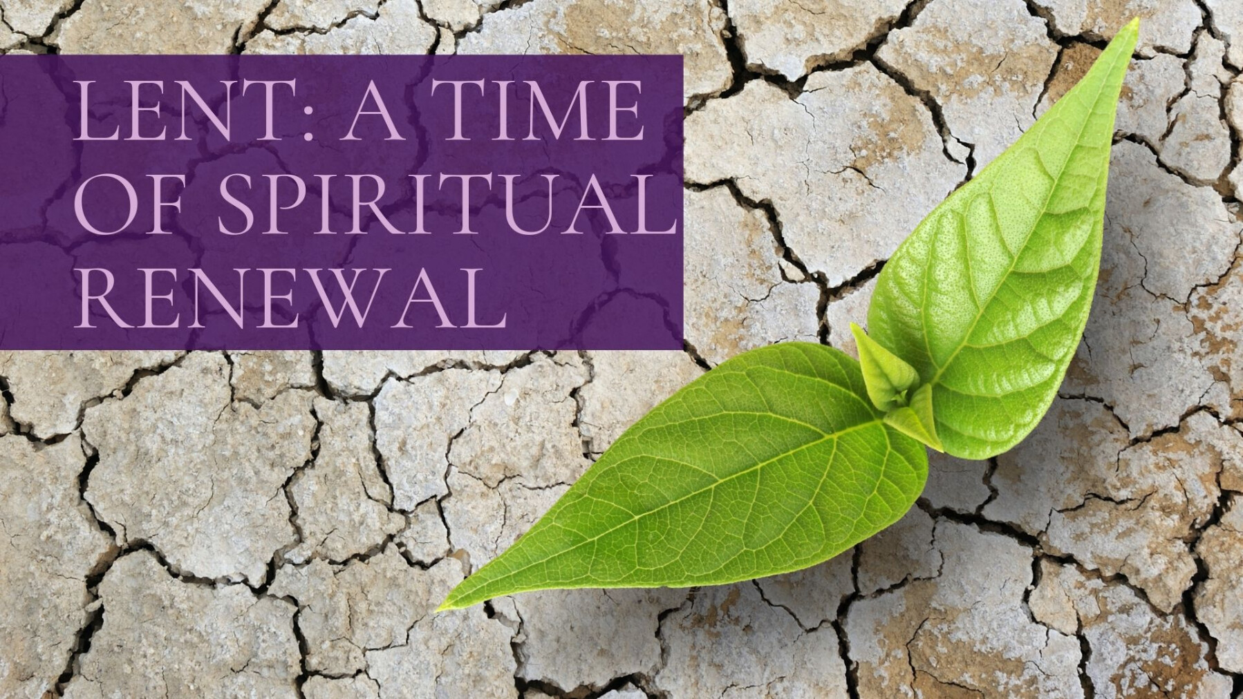 Lent A Time of Spiritual Renewal Good Shepherd Catholic Community